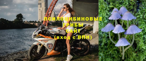 первитин Бородино